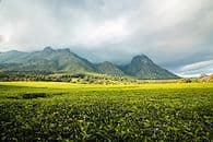 Mont et merveilles du Malawi
