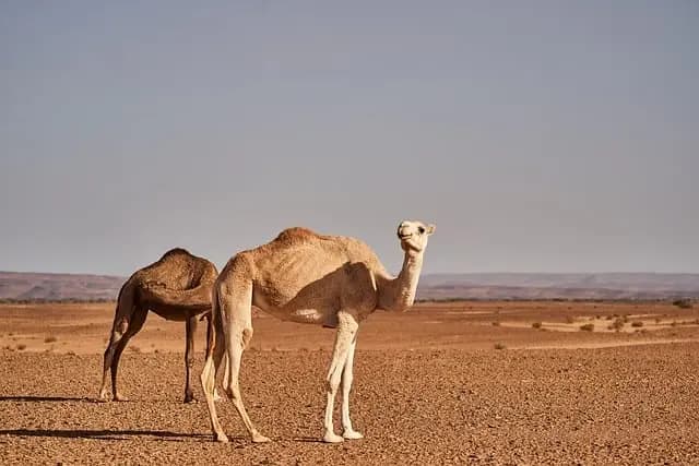 Les pays les moins connus à découvrir absolument