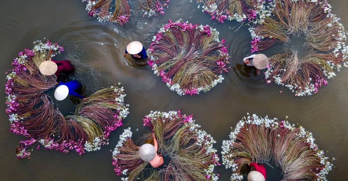 Les pays d'Asie : Caractéristiques et cultures à découvrir