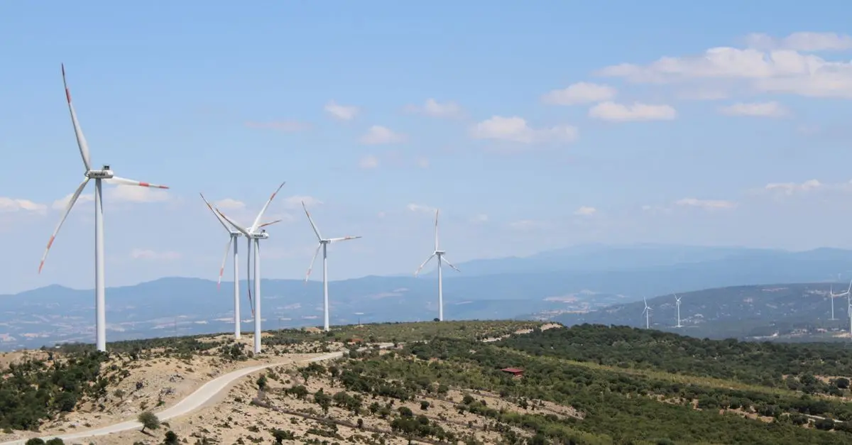 Les pays leaders en énergies renouvelables