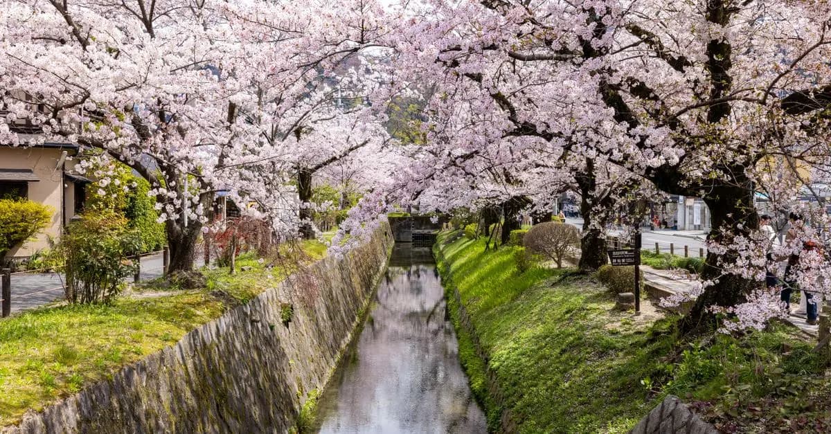 Top 10 des pays à visiter le plus souvent