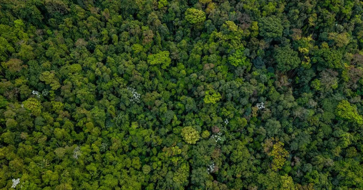 Les pays au climat le plus exceptionnel : Une exploration