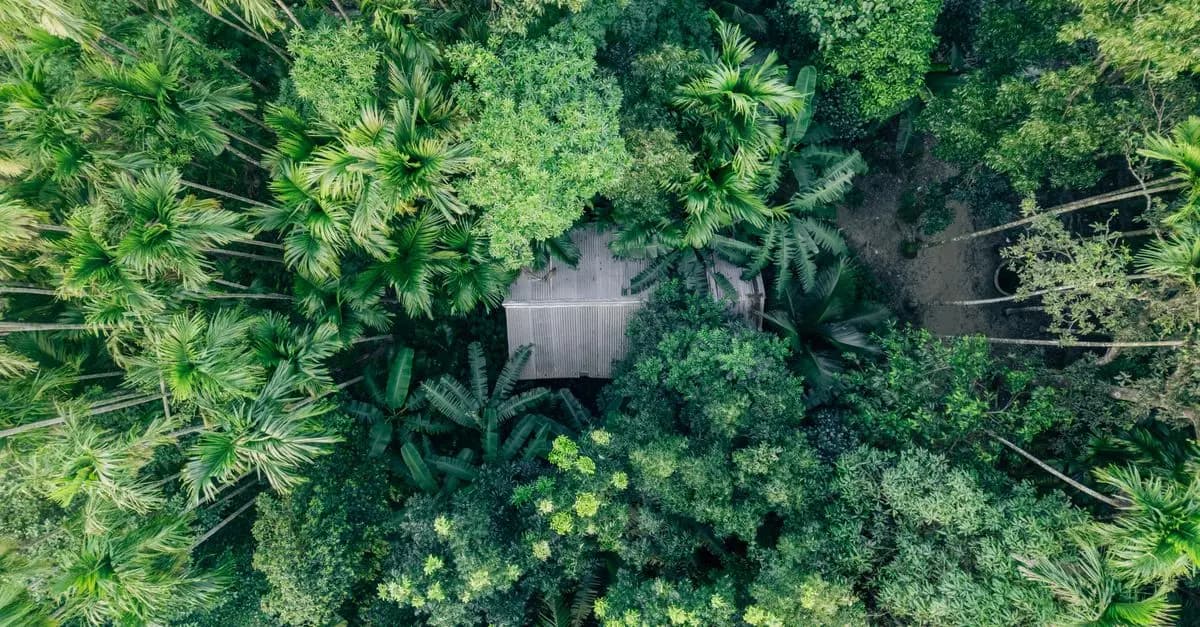 Exploration des pays les plus riches en biodiversité