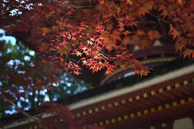 10 pays à visiter pour leur culture unique