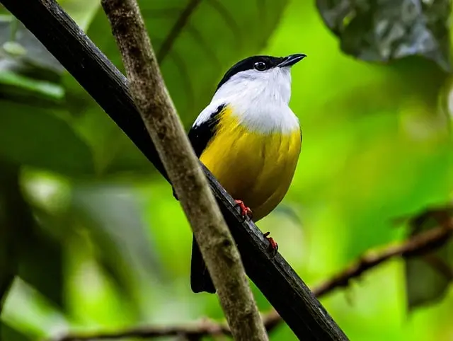 Les pays avec les plus grandes richesses naturelles