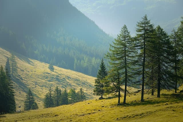 Top 10 des pays les plus fascinants à découvrir