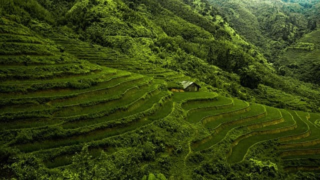 Liste des pays de l'Asie : culture et caractéristiques