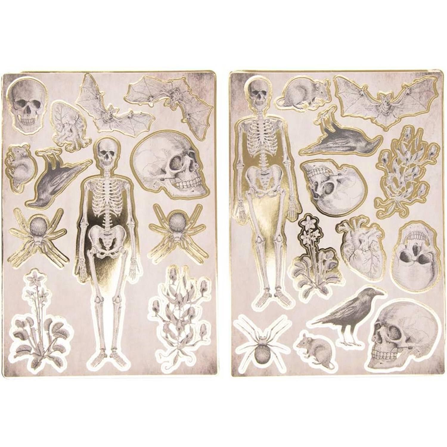 Planches de 25 stickers Cabinet des curiosités